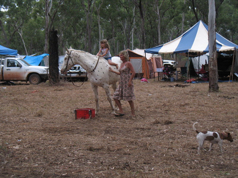 Lakefield National Park - Walkabout